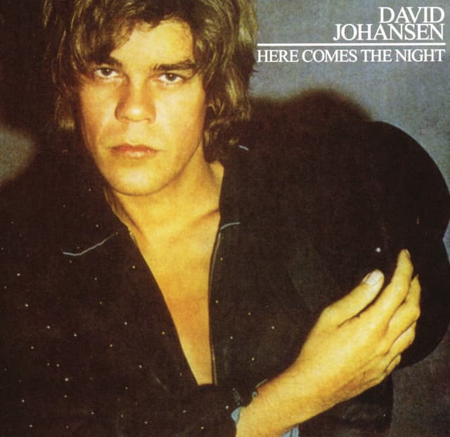 Album cover art for Here Comes the Night