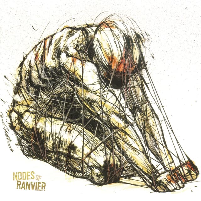 Album cover art for Nodes Of Ranvier