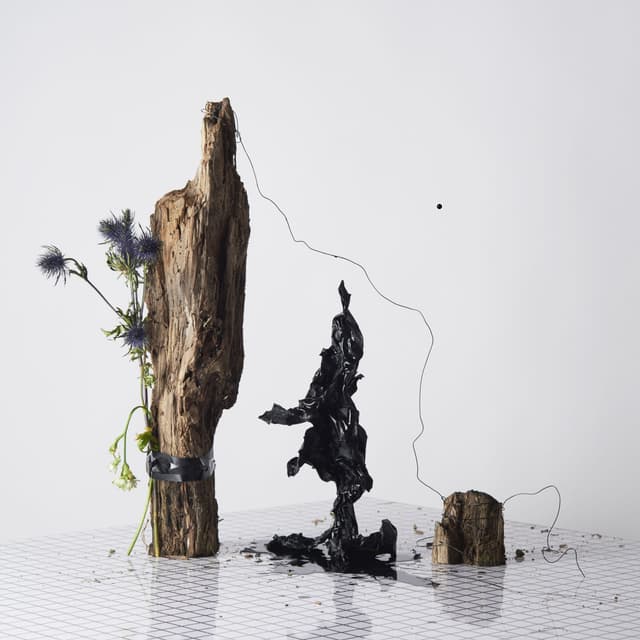 Album cover art for Black Anything