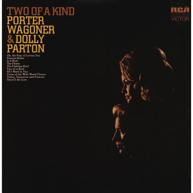 Album cover art for Two of a Kind