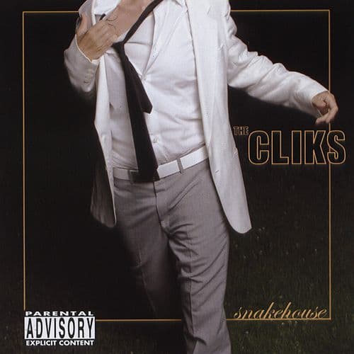 Album cover art for Snakehouse