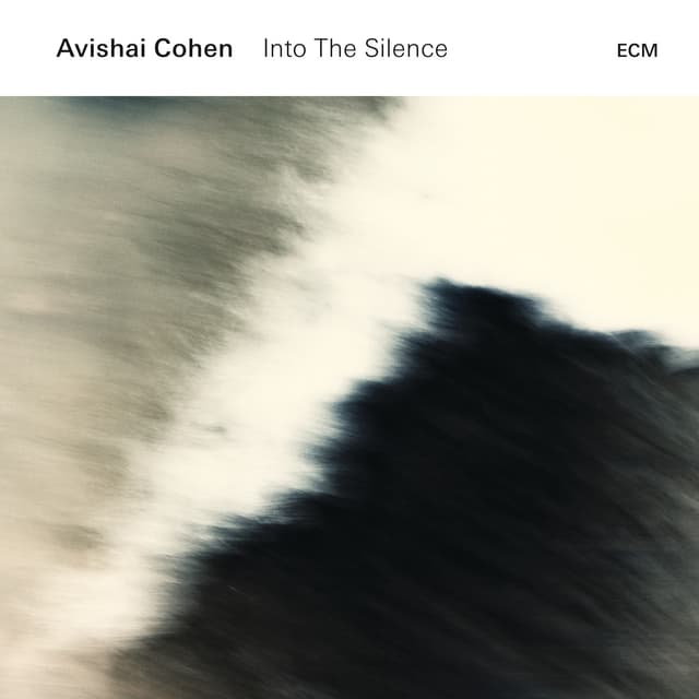 Album cover art for Into the Silence