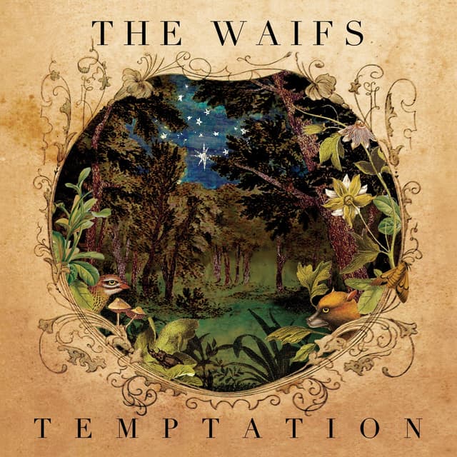 Album cover art for Temptation