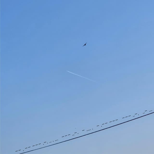 Album cover art for Our Memory