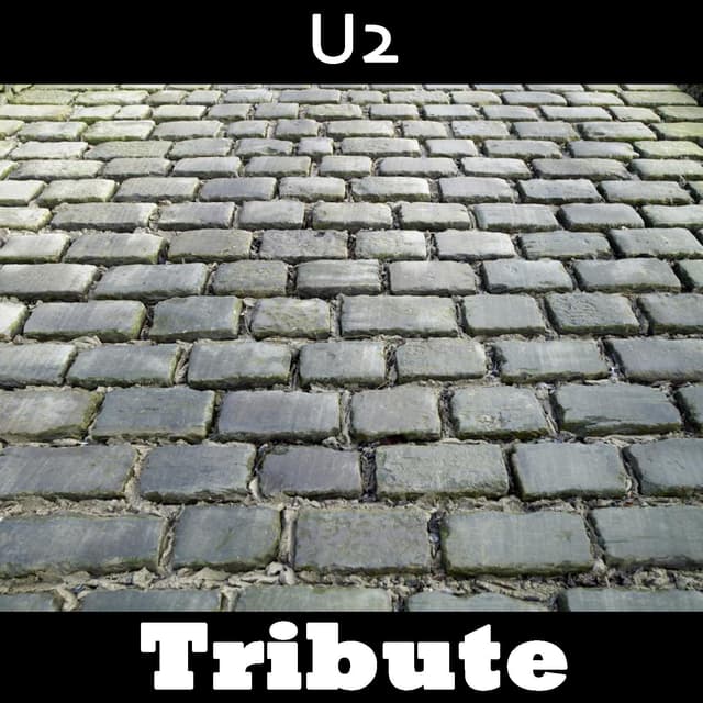 Album cover art for Desire: Tribute To U2