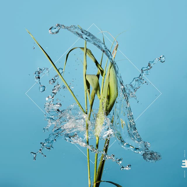 Album cover art for Stream