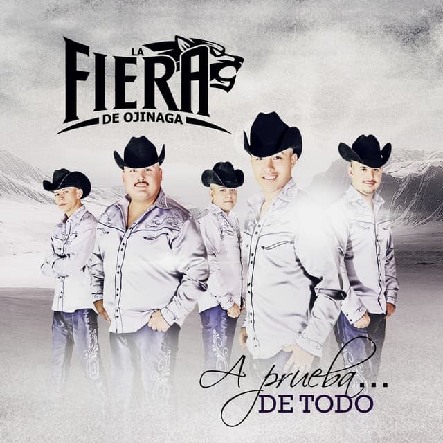 Album cover art for A Prueba... De Todo