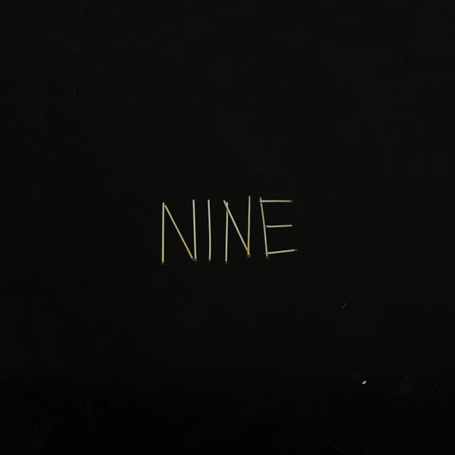 Album cover art for Nine