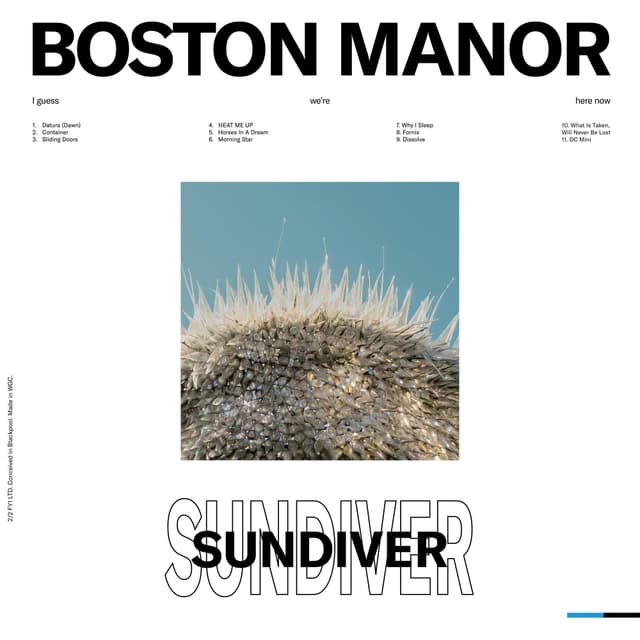 Album cover art for Sundiver