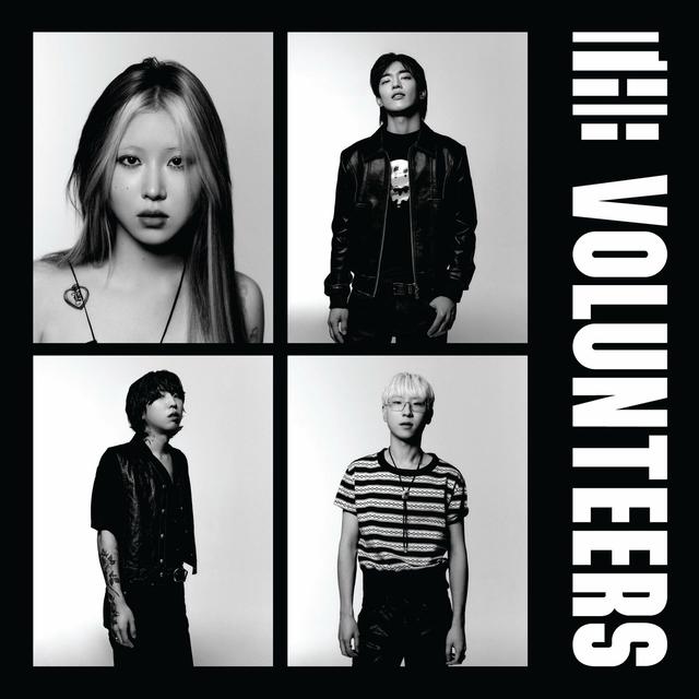 Album cover art for The Volunteers