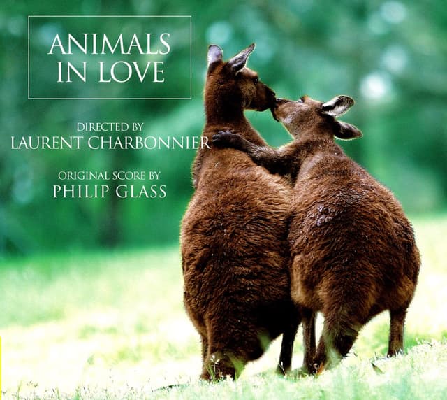 Album cover art for Animals in Love [B.O.F.]