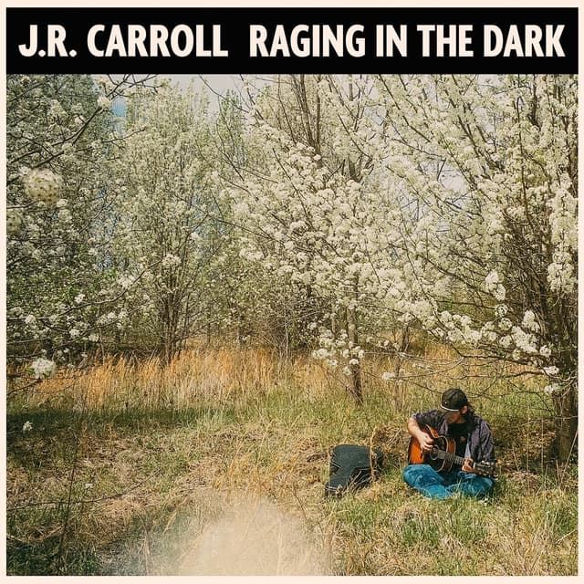 Album cover art for Raging in the Dark