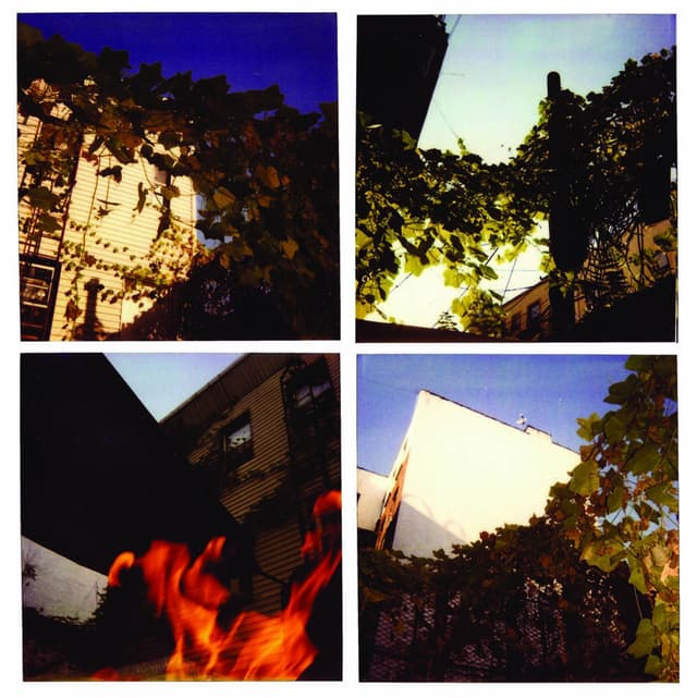 Album cover art for Strangers In Our House