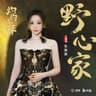 野心家 (Ye Xin Jia)