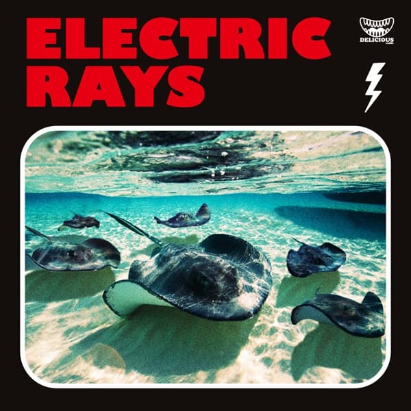 Album cover art for ELECTRIC RAYS
