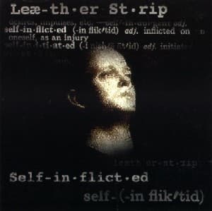 Album cover art for Self-Inflicted