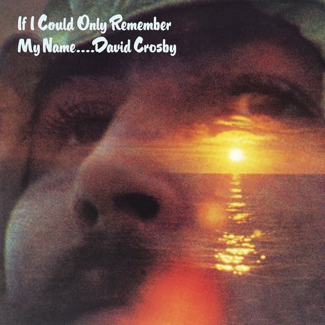 Album cover art for If I Could Only Remember My Name
