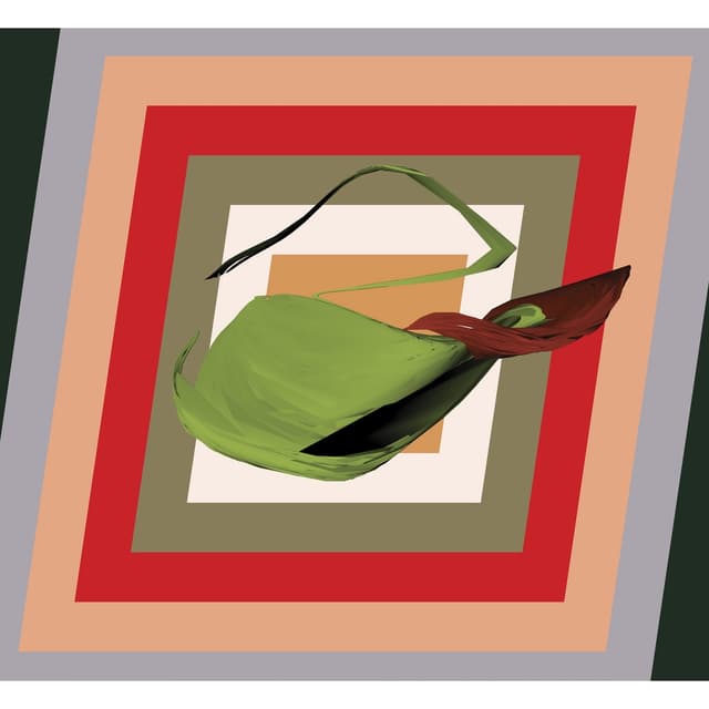 Album cover art for Big Choantza