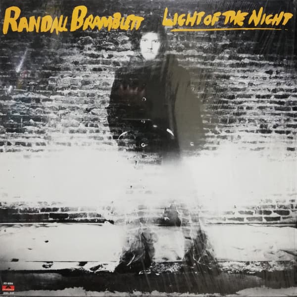 Album cover art for Light of the Night