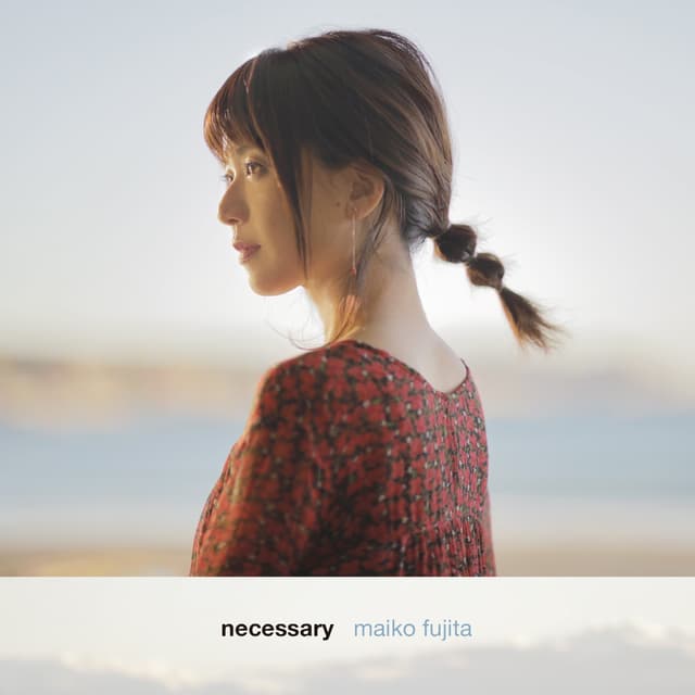 Album cover art for necessary