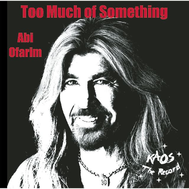 Album cover art for Too Much Of Something