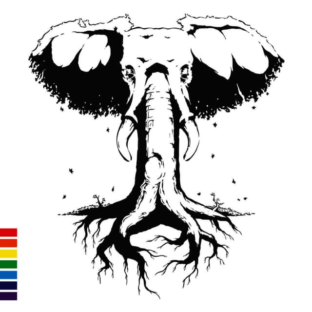 Album cover art for Sinkane