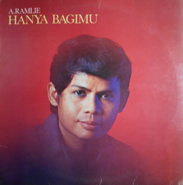 Album cover art for Hanya Bagimu