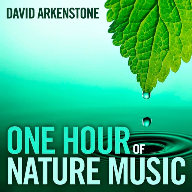Album cover art for One Hour Of Nature Music : For Massage, Yoga And Relaxation