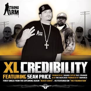 Album cover art for Credibility