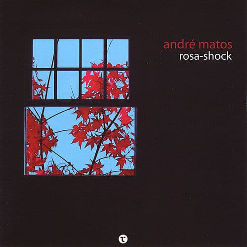 Album cover art for Rosa-Shock