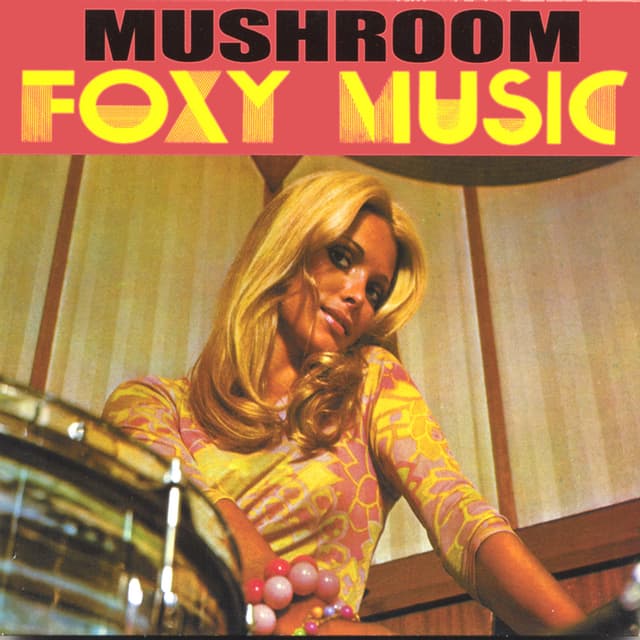 Album cover art for Foxy Music