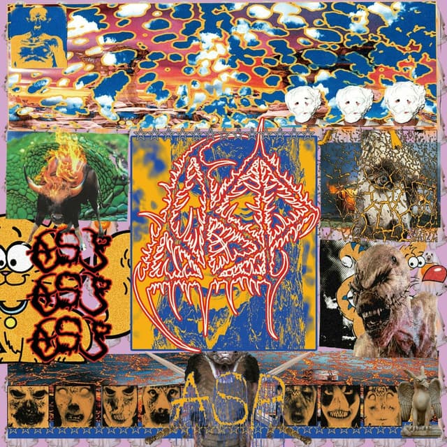 Album cover art for Terminal disease of ASP