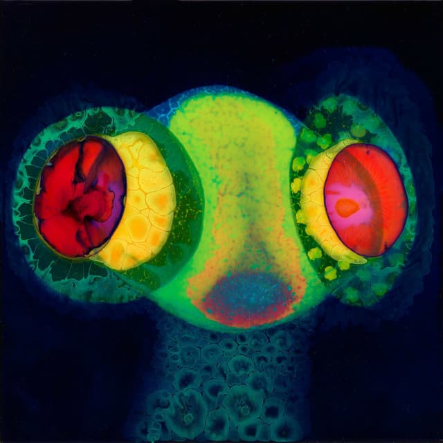 Album cover art for Sorcs 80