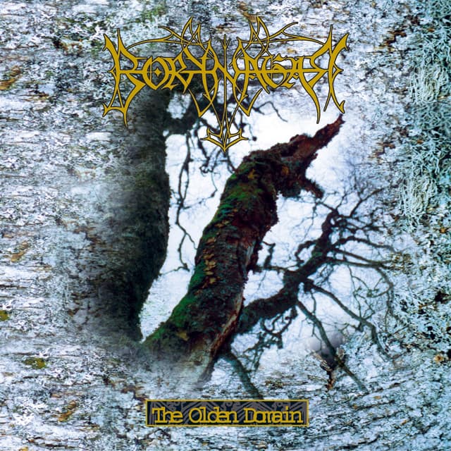 Album cover art for The Olden Domain