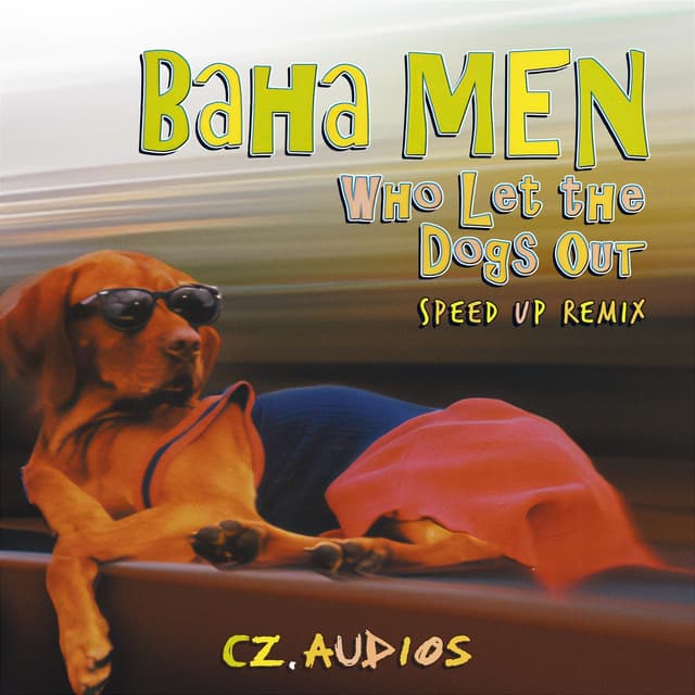 Album cover art for Who Let The Dogs Out