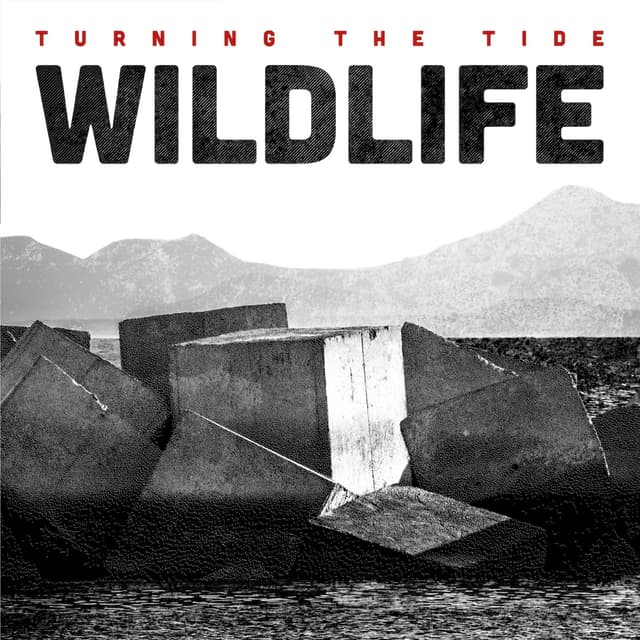 Album cover art for Turning The Tide