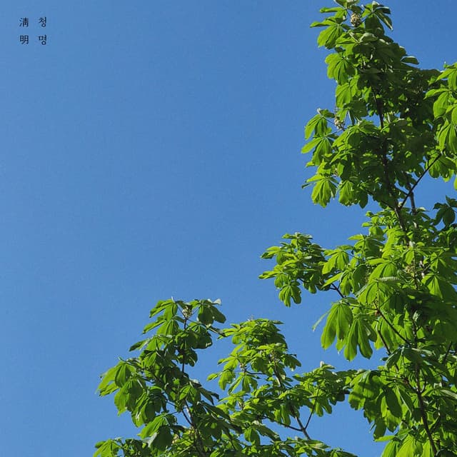 Album cover art for seasonal days