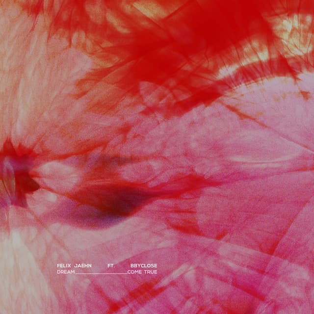 Album cover art for Dream Come True