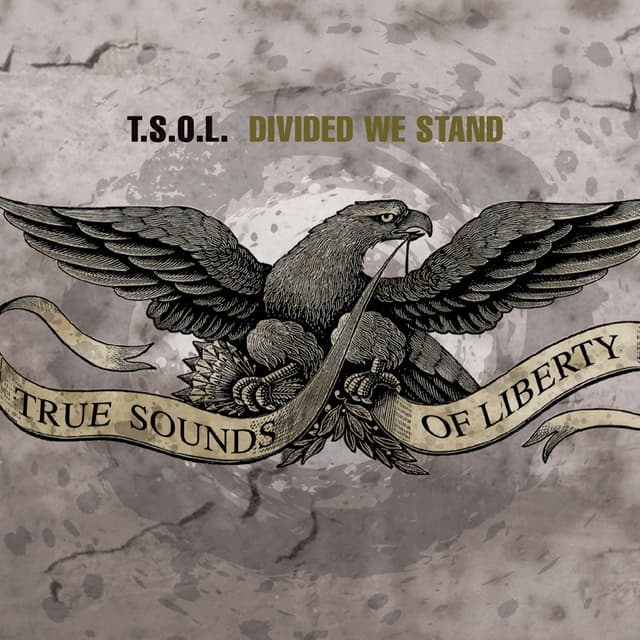Album cover art for Divided We Stand