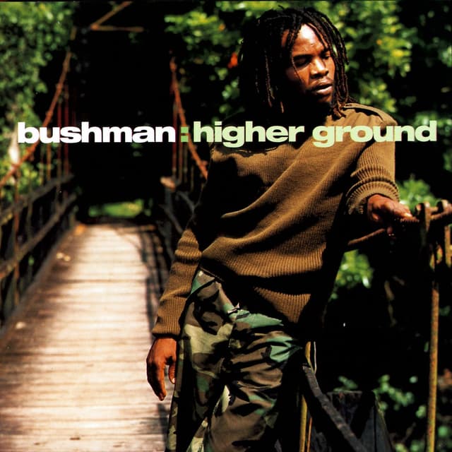 Album cover art for Higher Ground