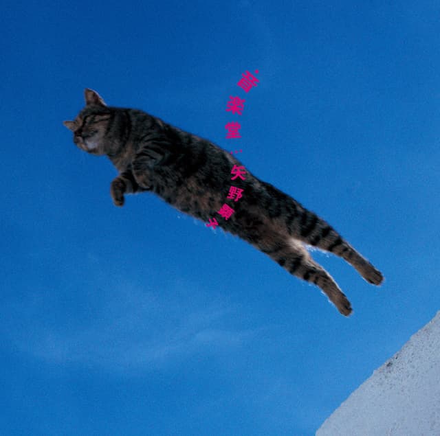 Album cover art for 音楽堂