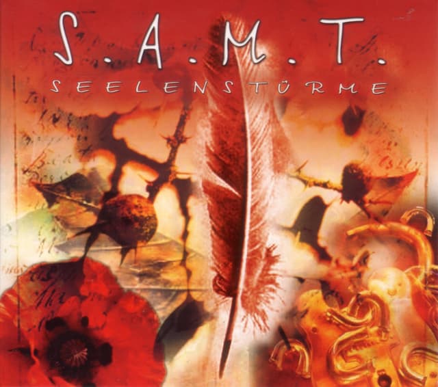 Album cover art for Seelenstürme