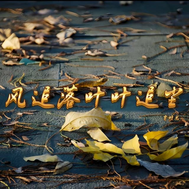 Album cover art for 风追落叶叶追尘