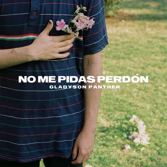 Album cover art for No me pidas perdón
