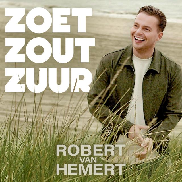 Album cover art for Zoet, Zout, Zuur