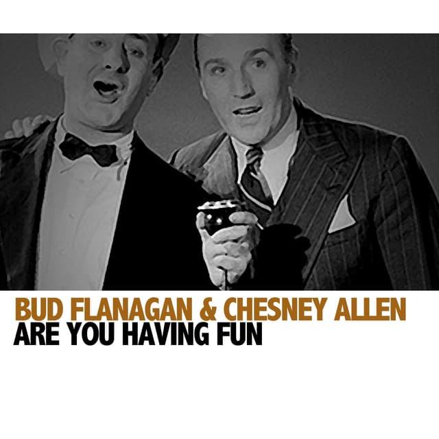 Album cover art for Are You Having Fun