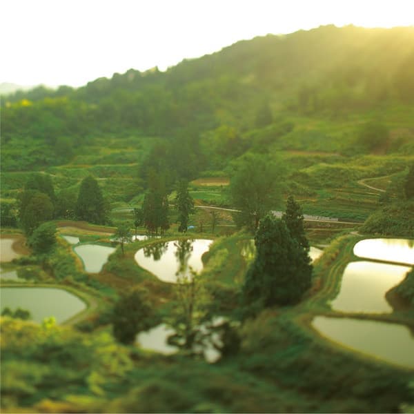 Album cover art for QLASSIX