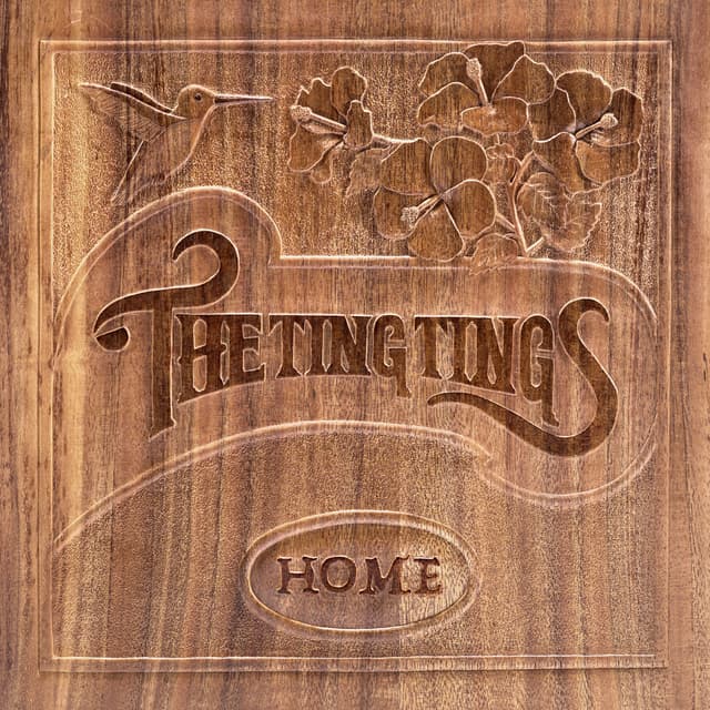 Album cover art for Home