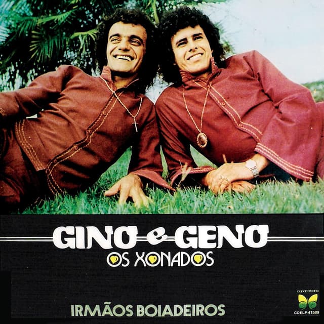 Album cover art for Irmãos Boiadeiros