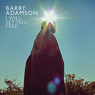 Album cover art for I Will Set You Free